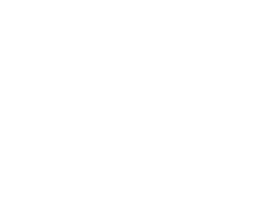 Mlonzi Incorporated Attorneys